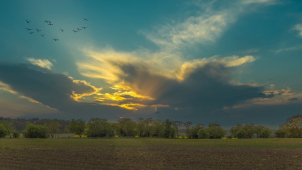 Oblačná neděle přinese vysoké teploty i déšť