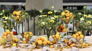 Vánoce na Floře letos nebudou