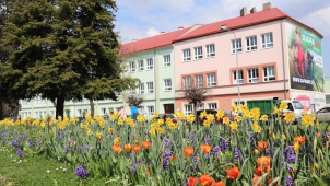 Ulice Přerova zdobí květinová výsadba