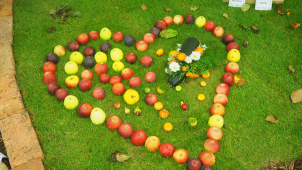 Podzimní Floru navštívilo dvacet tisíc návštěvníků