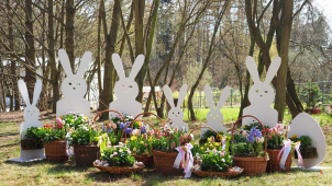 Komentovaná krmení po celý víkend