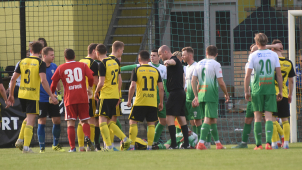 Sady doma ztratily s Bzencem