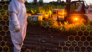 Festival ukáže, kam mizí včely a jak jim i včelařům pomoci