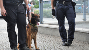 Tablety s efedrinem i pervitin. Při hledání drog pomohl pes