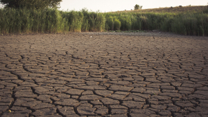 Města začínají vydávat zákazy odběru povrchové vody