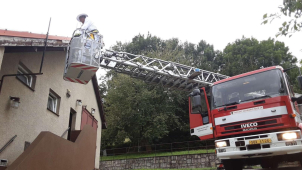 Přes 320 výjezdů. Hasiči letos častěji likvidují bodavý hmyz