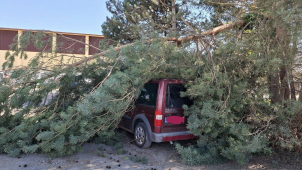 Hasiči v kraji vyjížděli kvůli větru k desítkám událostí