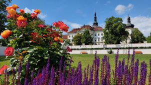 Prelátská zahrada proměnila okolí Hradiska v kvetoucí ráj