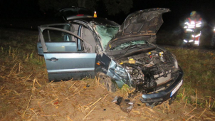 Muž v autě se vyhnul srážce s prasetem, narazil do stromu