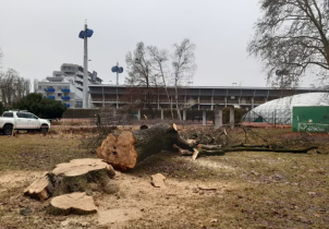 Obnova ASO parku v Olomouci začala úpravou zeleně