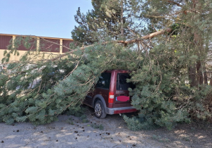 Hasiči v kraji vyjížděli kvůli větru k desítkám událostí