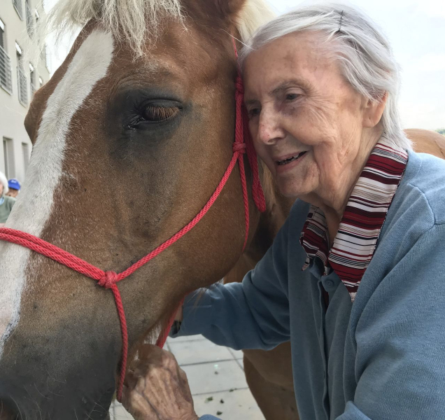 Olomoucké seniory navštívili koně