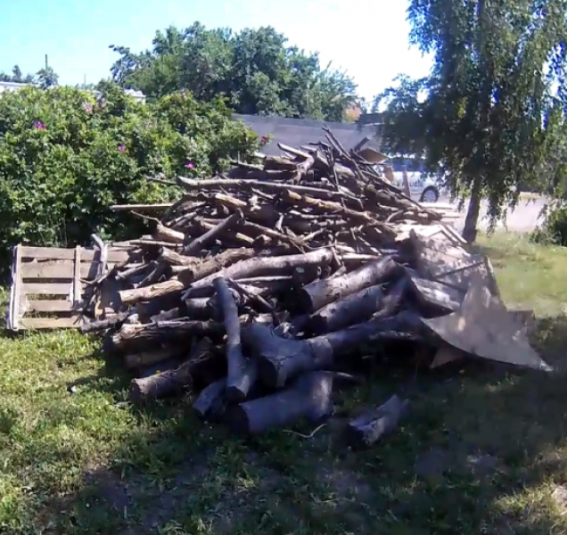 Muž zapomněl odvést dřevo z městského pozemku