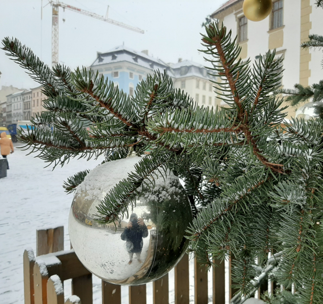 Den plný tradic, 24. prosinec. Znáte je všechny?