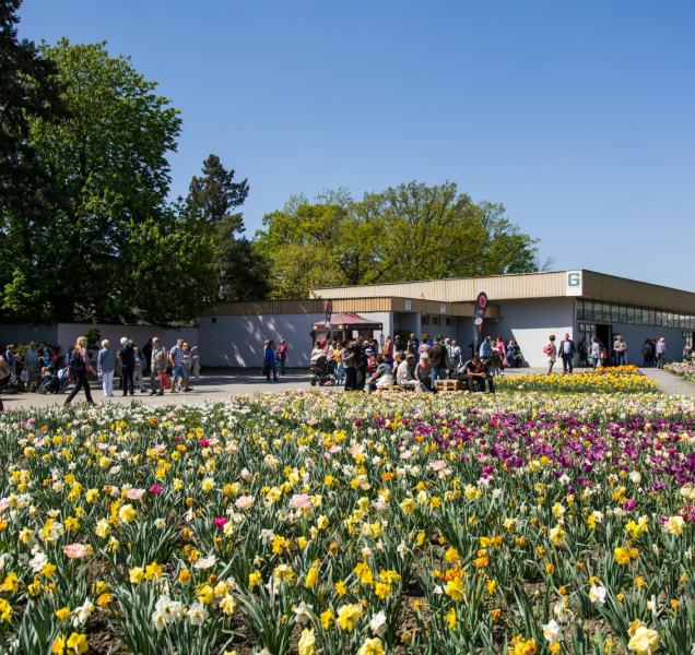 Flora Olomouc je zpět, hlavní expozice znázorní koloběh života