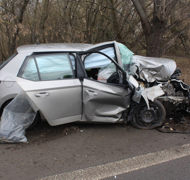 S autem narazila do stromu. Poté nadýchala přes 2, 5 promile