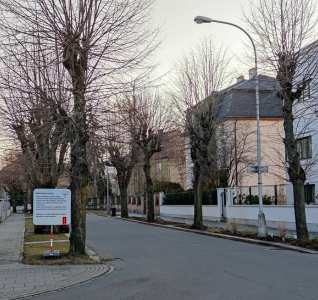 Ořezy stromů a nové květinové záhony. Jaro je tady