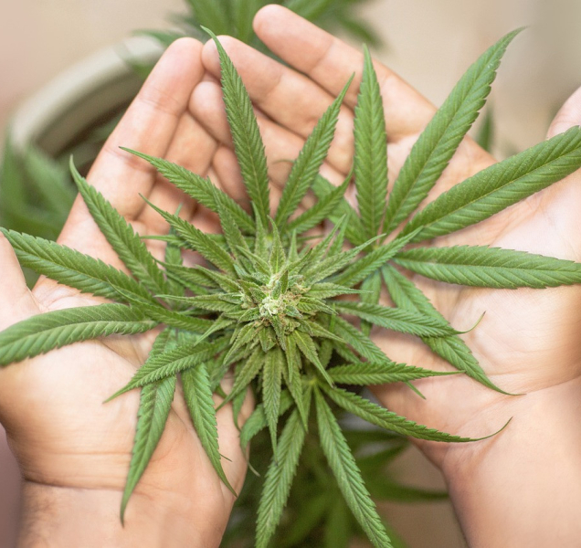 Sjetý řidič se vydával za bratra, spolujezdec vezl koktejl drog