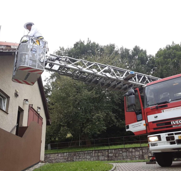 Přes 320 výjezdů. Hasiči letos častěji likvidují bodavý hmyz