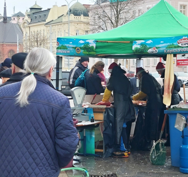 Máte doma kapra? Určitě ho nepouštějte do přírody