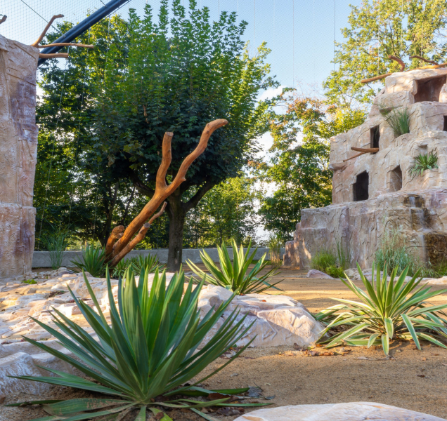 Zoo Olomouc navštívilo více lidí. Lákala i obří voliéra