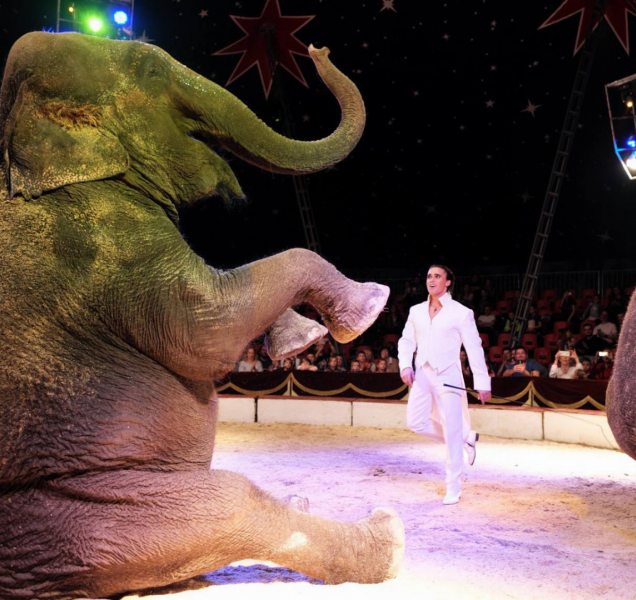 Do Olomouce přijel legendární Cirkus Humberto