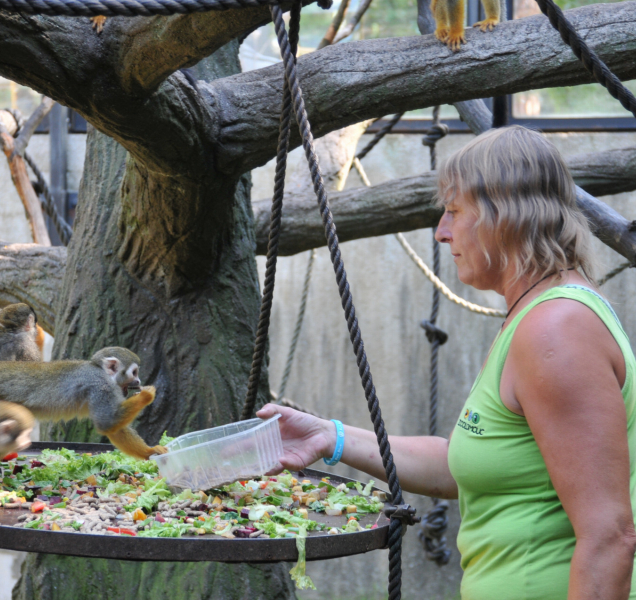 Práce se zvířaty je každý den jiná, říká Hana Dostálová