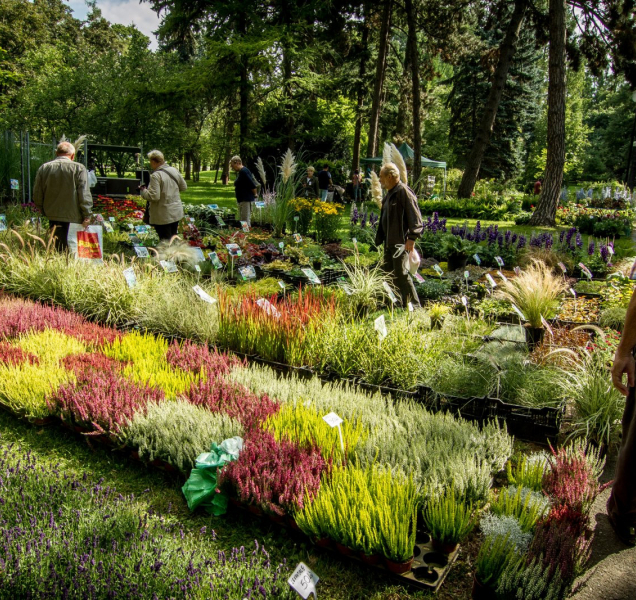 Olomouc opět ožila Florou