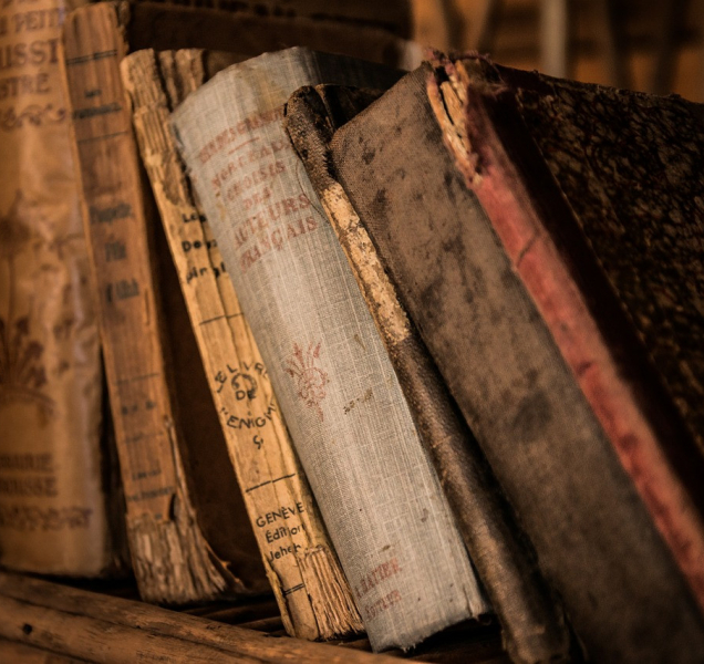 Olomouc bude mít svou elektronickou encyklopedii