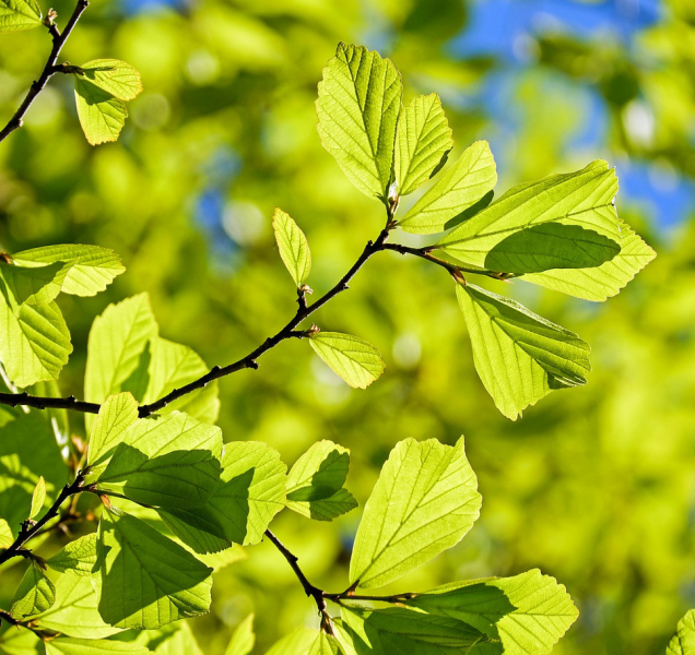 Sobotní počasí v kraji nabídne i dvacítky