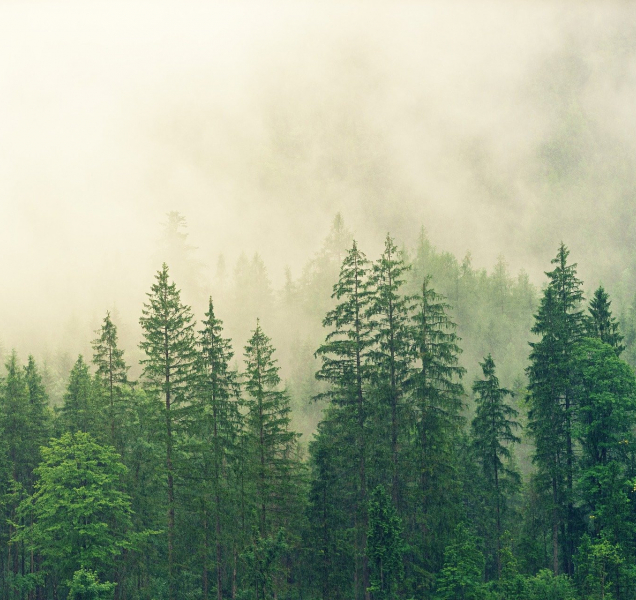 Během pátku budou v kraji až dva stupně, na horách až šest