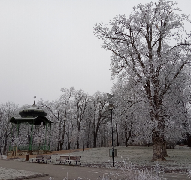 Sobota nabídne až pět stupňů, ale i větrno a sníh
