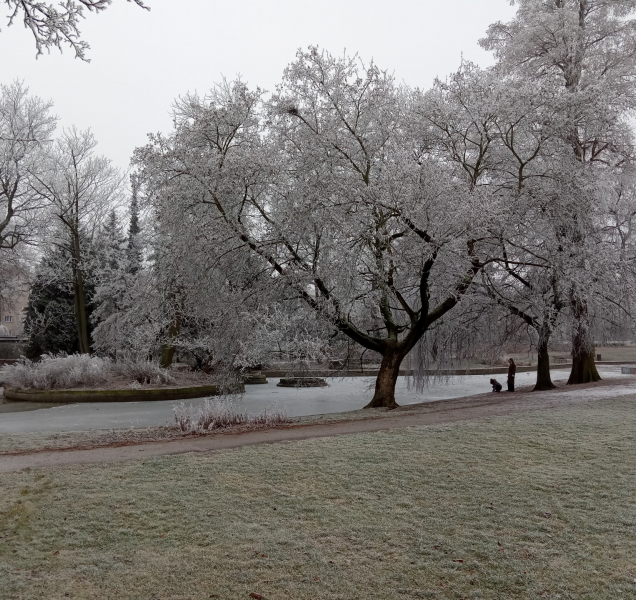 Na horách v neděli bude pod nulou, někde se dočkáme i sněhu