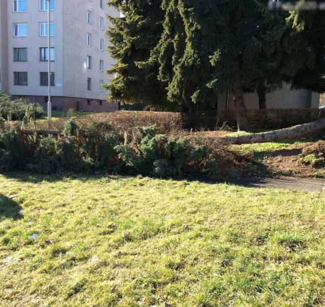 Silný vítr zaměstnal také olomoucké strážníky