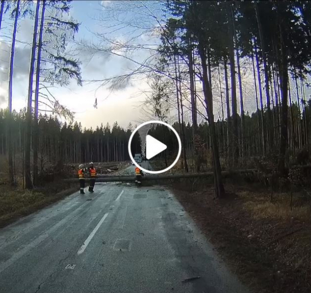 Hasiči zasahovali při pondělní vichřici. Šlo jim o život