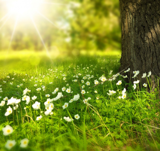 Začátek týdne v kraji bude teplý