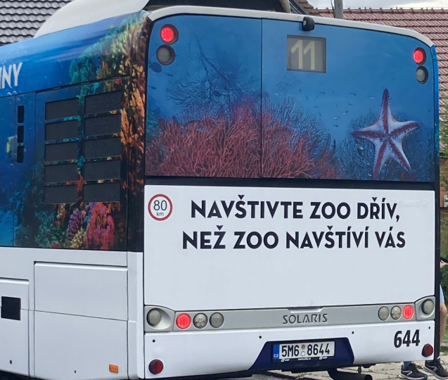 Hrozí nám zoo, že vypustí zvířata do města?
