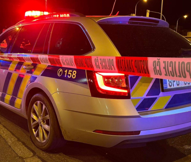 Muž propuštěný z vězení zavraždil svou družku