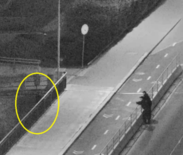 Před půlnocí skočila do řeky, strážníci ji zachránili