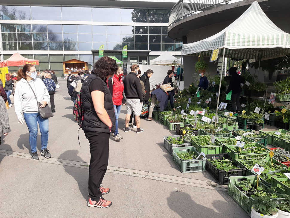 Výstaviště Flora chystá Selské a Zahradnické trhy