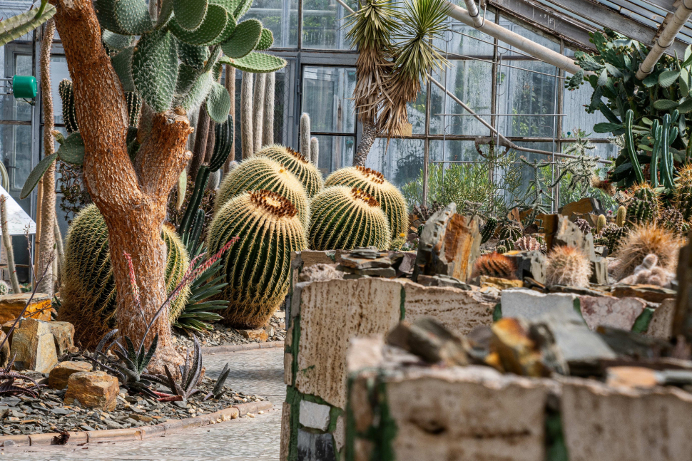 Sbírkové skleníky ve Smetanových sadech se znovu otevřou