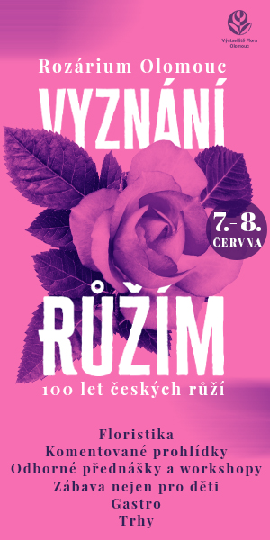 Vyznání růžím