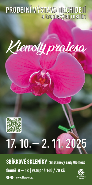 Klenoty pralesa